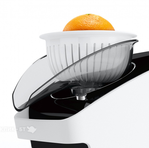 Мясорубка BOSCH MFW 3850 B