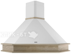 Стиральная машина EVGO WS-50PET