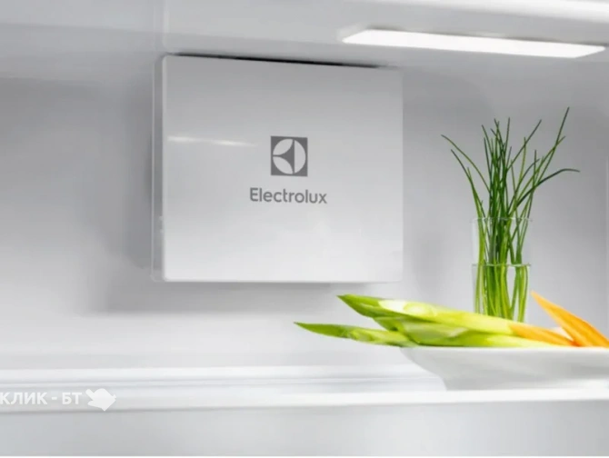 Холодильник ELECTROLUX ERD6DE18S4