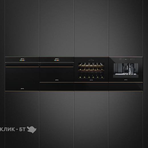 Духовой шкаф SMEG SF4604PMCNR