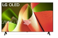 Телевизор LG OLED55B4RLA