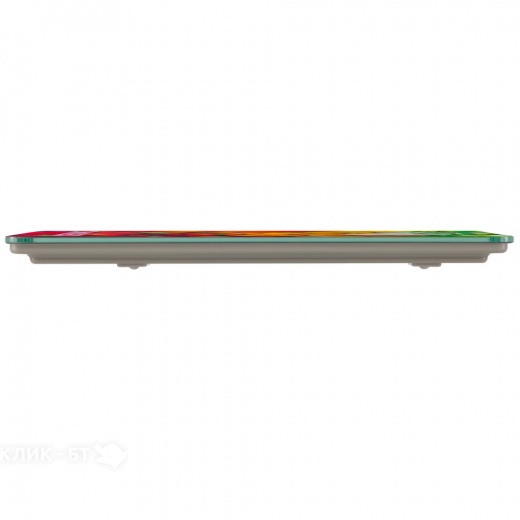 Весы кухонные MAUNFELD MKS-519G03