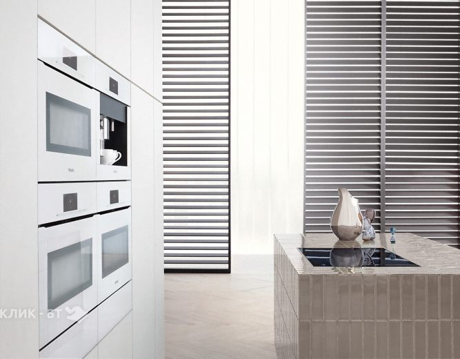 Вакууматор Miele EVS 6214