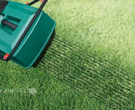 Скарификатор BOSCH alr 900 raker