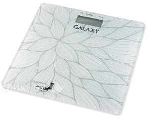 Весы Galaxy GL4807