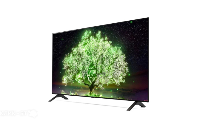 Телевизор LG OLED48A1RLA