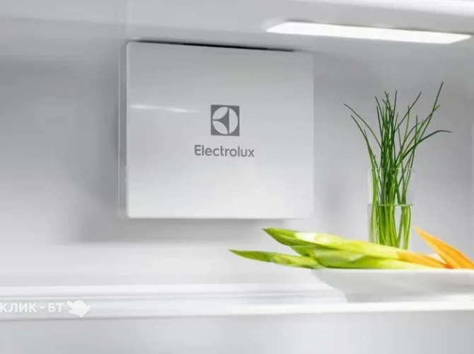 Холодильник ELECTROLUX LNG7TE18S