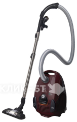 Пылесос ELECTROLUX ZSPALLFLR